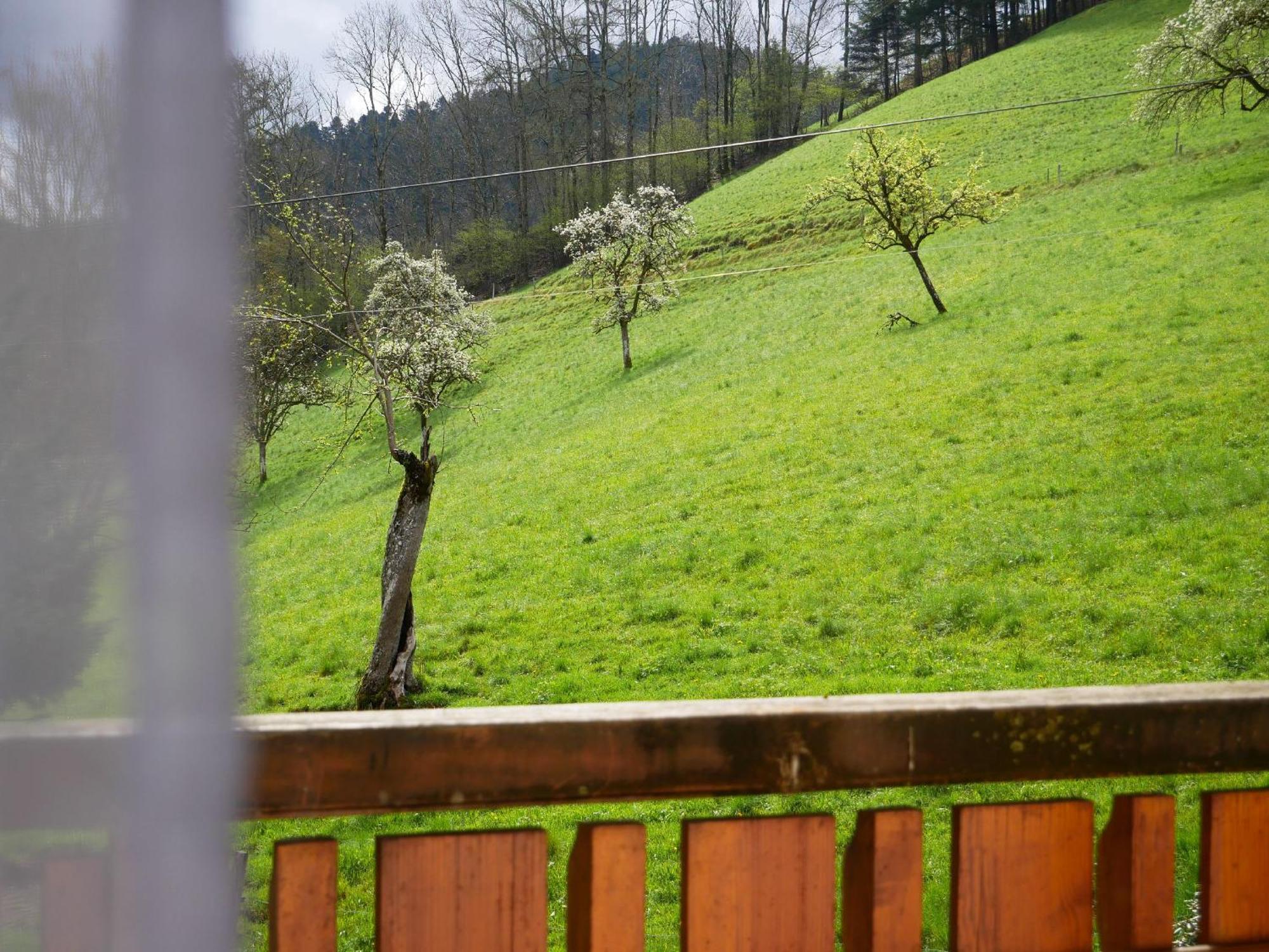 Buehlbauernhof Villa Bad Peterstal-Griesbach Buitenkant foto