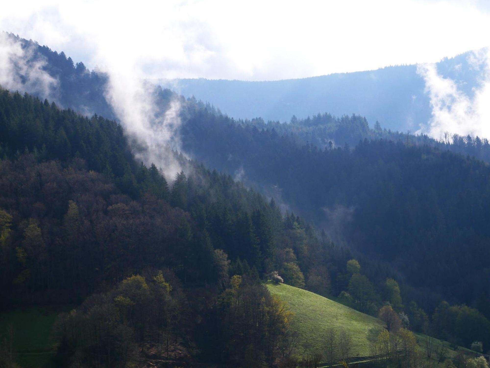 Buehlbauernhof Villa Bad Peterstal-Griesbach Buitenkant foto