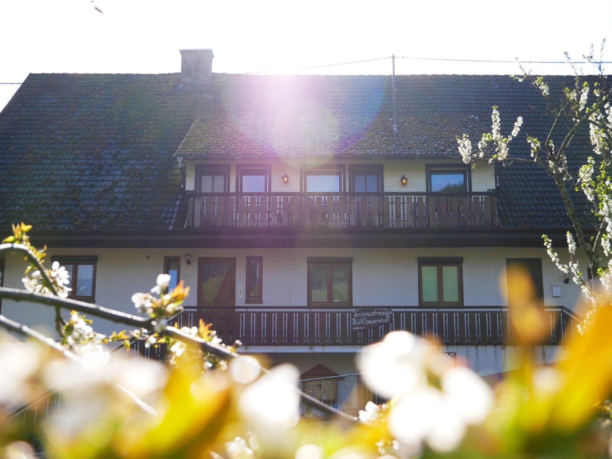 Buehlbauernhof Villa Bad Peterstal-Griesbach Buitenkant foto