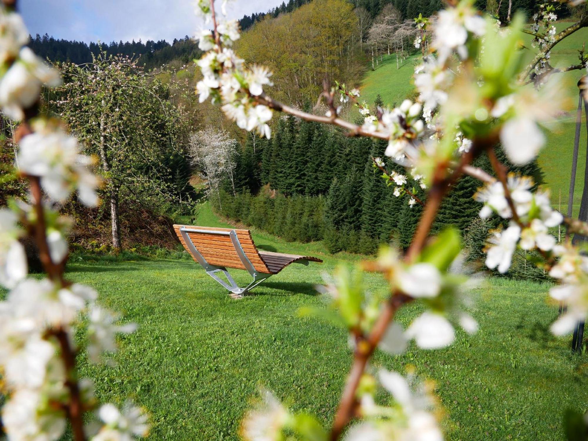 Buehlbauernhof Villa Bad Peterstal-Griesbach Buitenkant foto