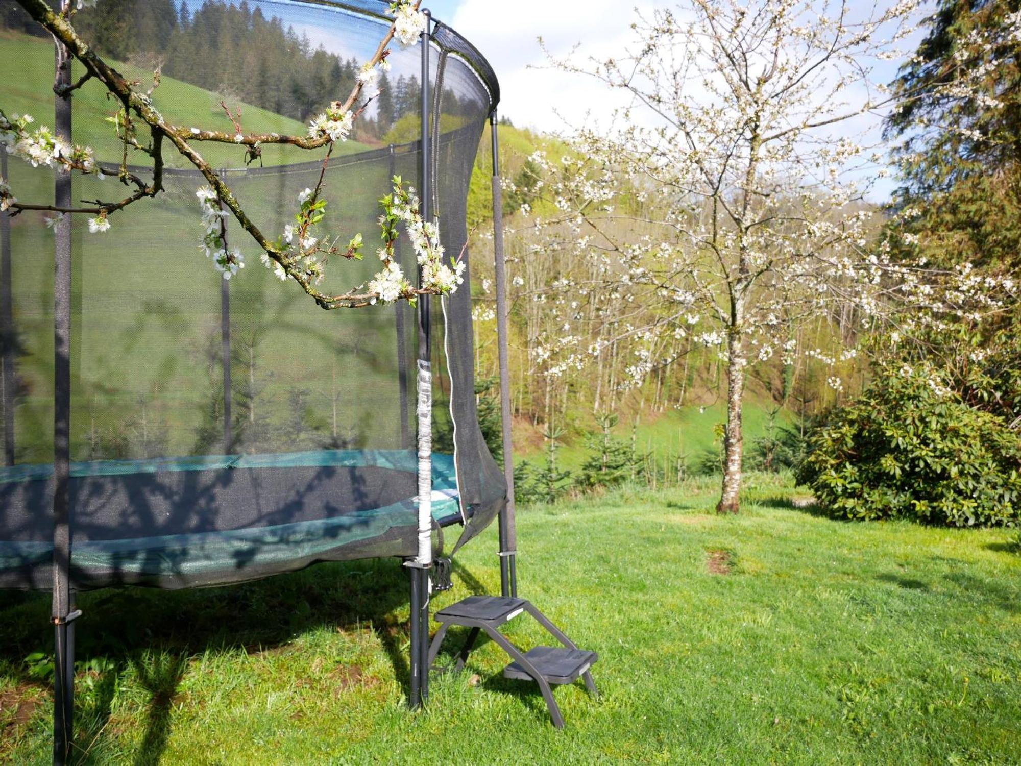 Buehlbauernhof Villa Bad Peterstal-Griesbach Buitenkant foto