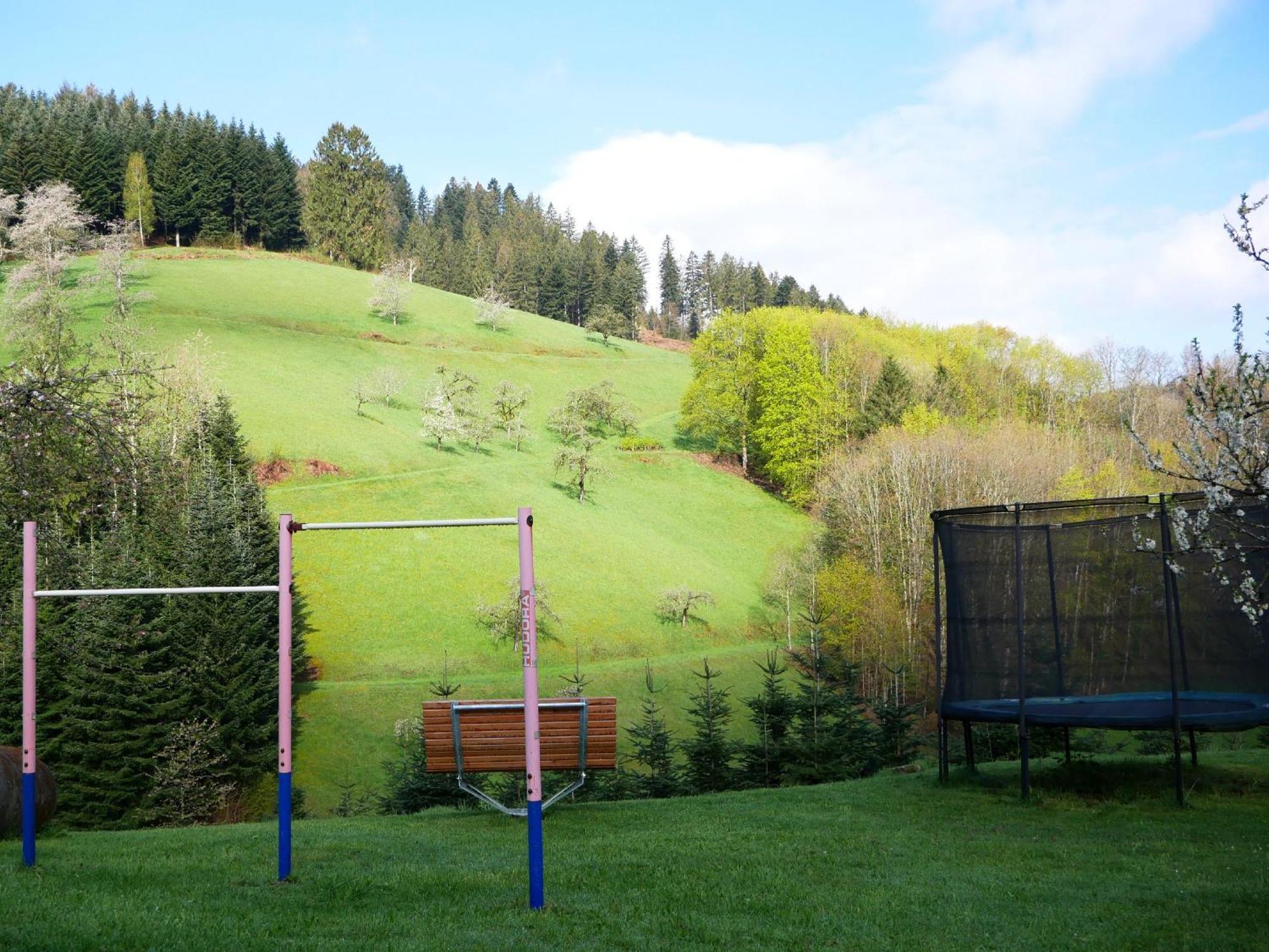 Buehlbauernhof Villa Bad Peterstal-Griesbach Buitenkant foto